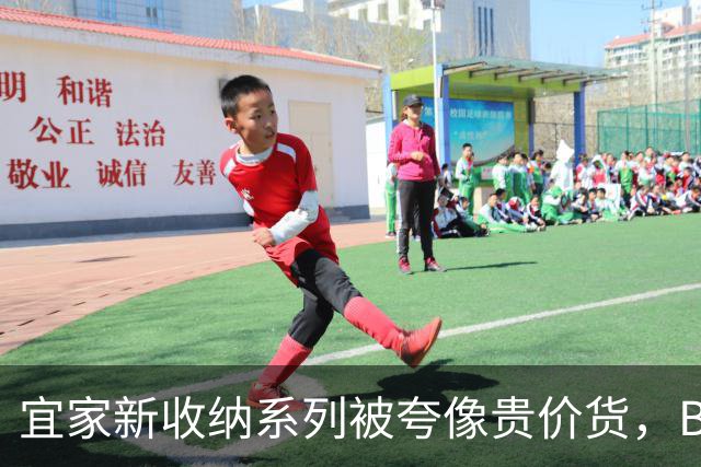 宜家新收纳系列被夸像贵价货，BILLY都要让位