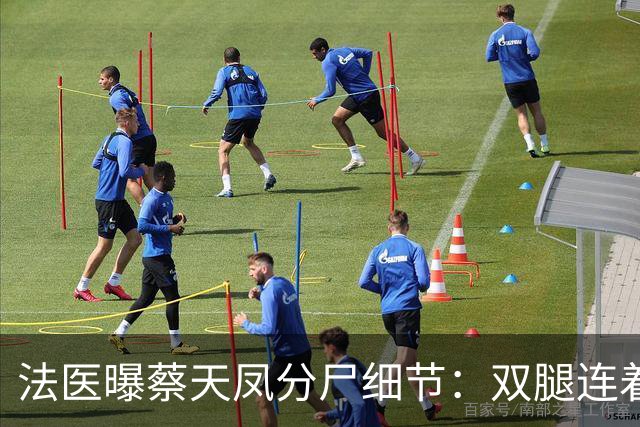 法医曝蔡天凤分尸细节：双腿连着盆骨在冰柜里，骨上带肉，太残忍