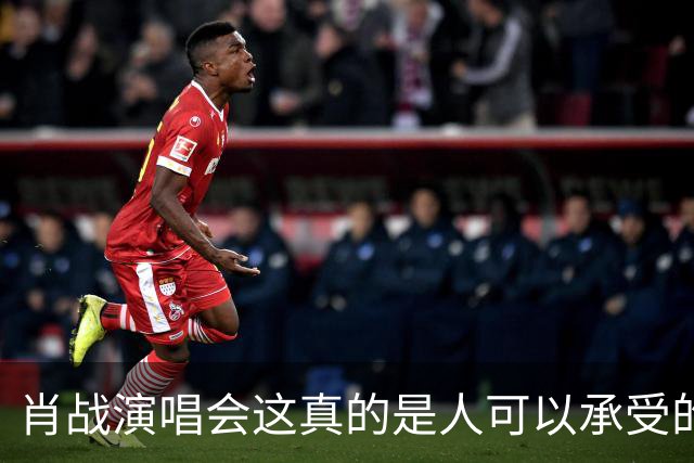 肖战演唱会这真的是人可以承受的吗？散场后还设心理疏导岗