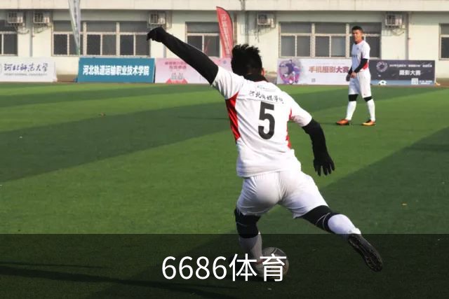 6686体育团队与业务介绍
